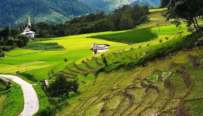 . Kausani – For Thrill And Peace Seekers