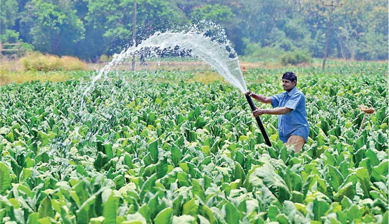  Jaffna - Peep Into The Past