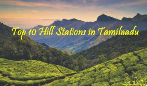 Top 10 Hill Stations in Tamil Nadu