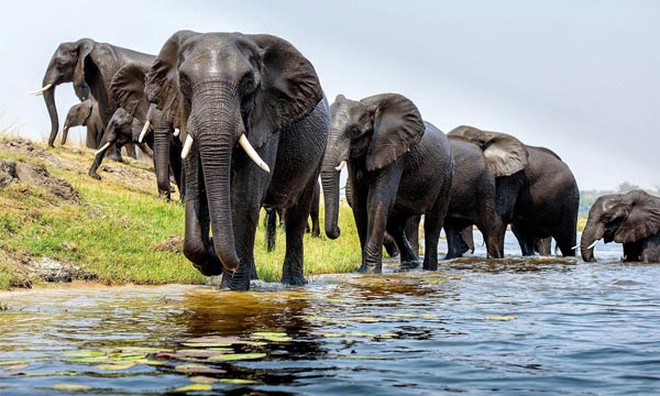 . Interview Island Wildlife Sanctuary, Andaman