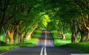 Best 10 Road Trips to Take in India after COVID Lockdown