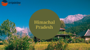 Himachal tour