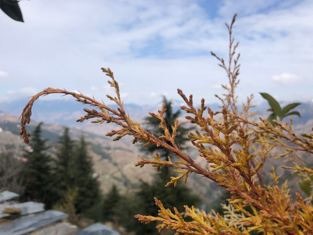 2. Theog – A Quiet Escape