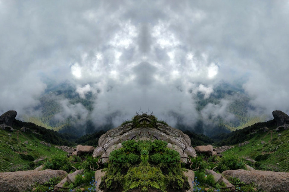 churdhar wildlife sanctuary