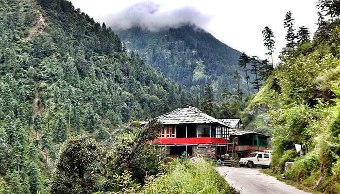 9. Shoghi – Observe The Flora And Fauna