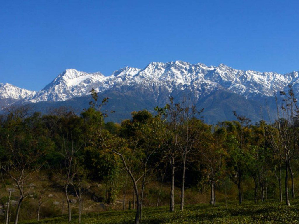 Palampur