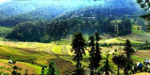 10 Amazing Offbeat Destinations In Himachal Pradesh Which Need To Be On A Real Traveler's To Do List