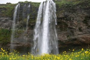 Top 11 Waterfalls In Himachal Pradesh That Treat Your Eyes To The Best Sights Ever!