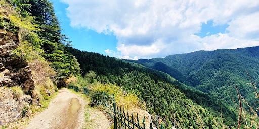 shimla water catchment wildlife sanctuary