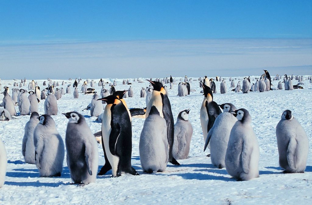 1.Antarctica