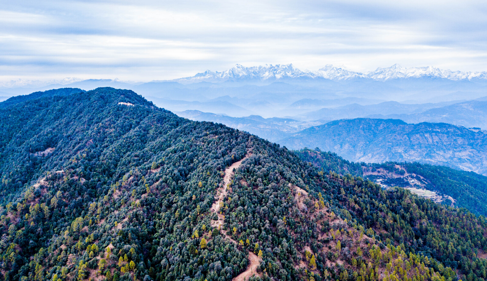 5. Binsar