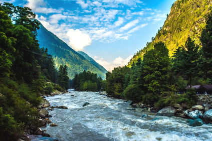 7. Kasol
