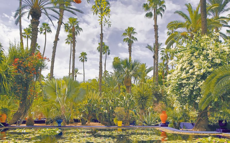 7. Jardin Majorelle, Marrakech, Morocco