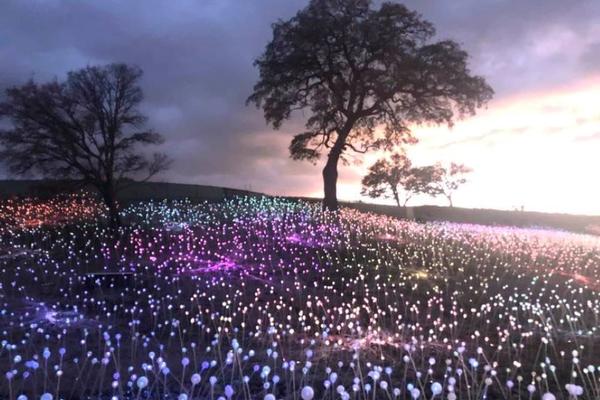 Paso Robles, California