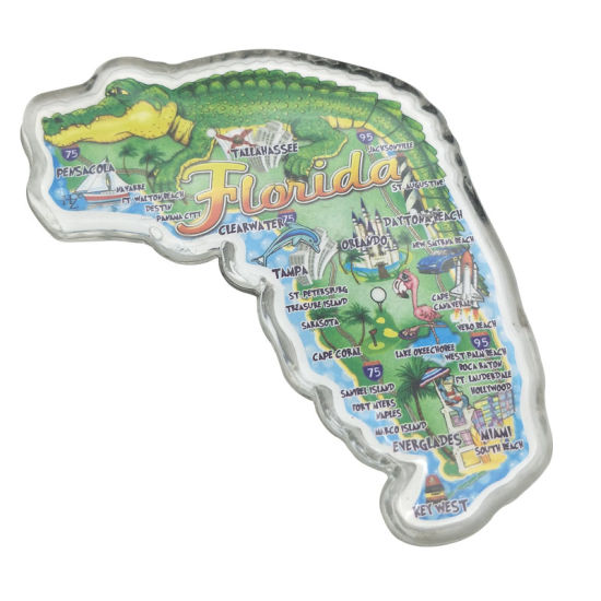 1. SHINY MAP MAGNETS