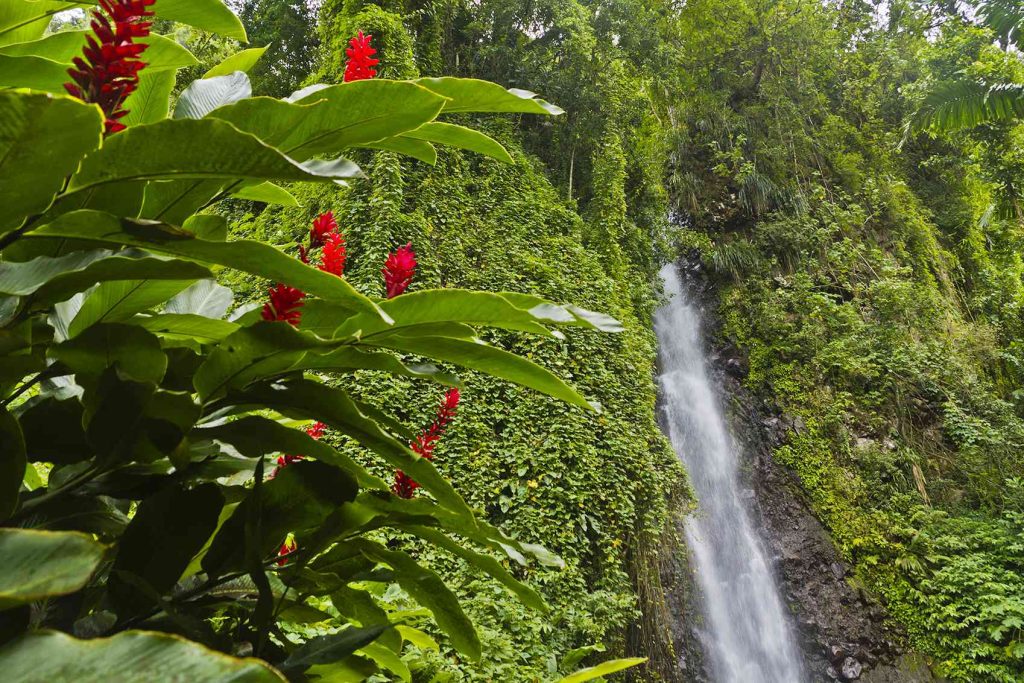 Seeking adventure on the high seas (St. Vincent and the Grenadines)