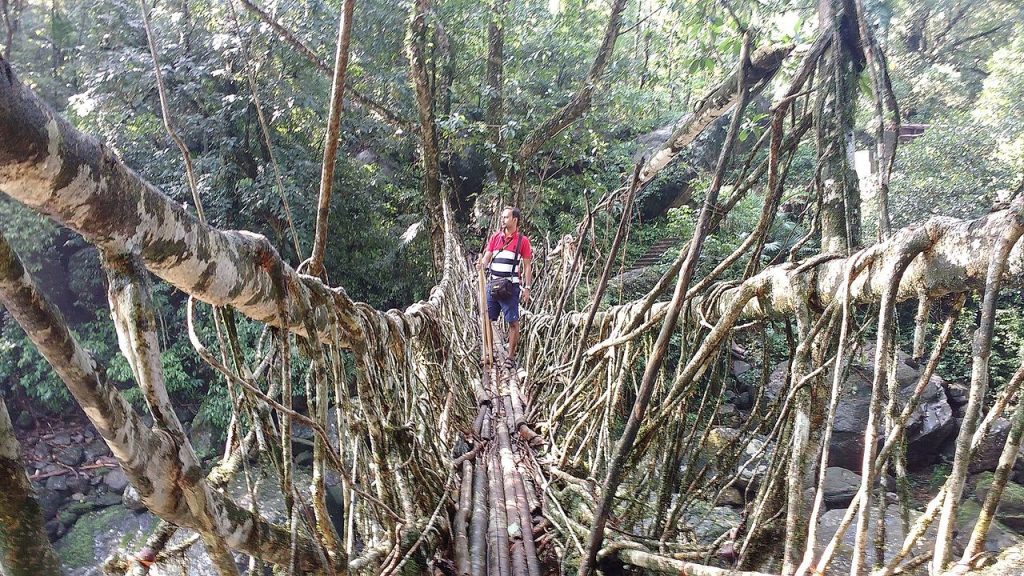 15.Cherrapunji, Meghalaya