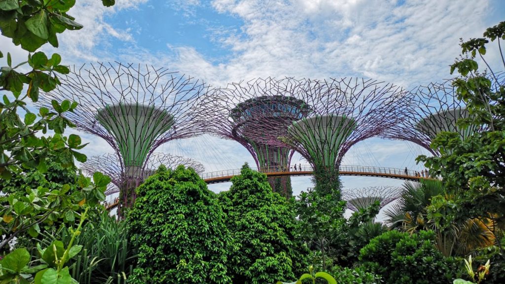 5. Singapore