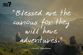 9. Favored are the inquisitive as they will have undertakings (Lovelle Drachman)