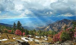 9.Chopta, Uttarakhand – Stunning Valley