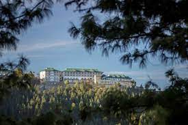 17.Theog, Shimla