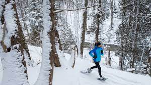 5. Best Snowshoe for Running