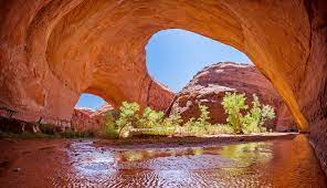 COYOTE GULCH, GLEN CANYON NATIONAL RECREATION AREA, UTAH, USA