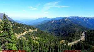 9.The Olympic Peninsula, Washington