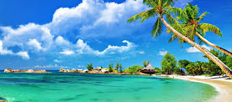 7. Goa