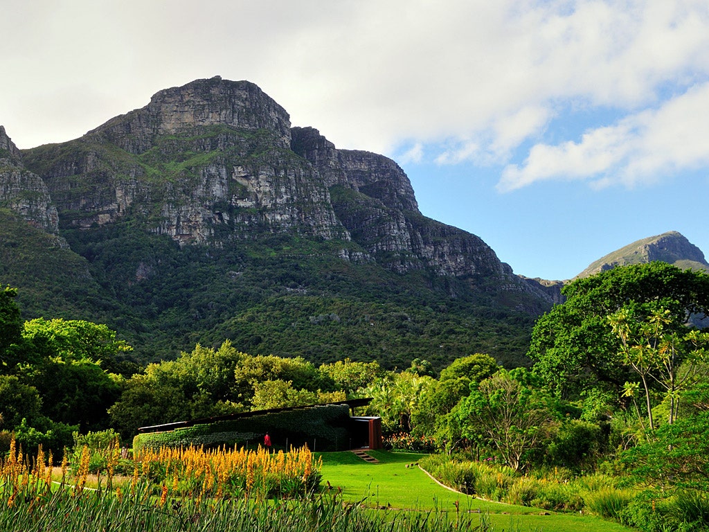8. Kirstenbosch National Botanical Garden, Cape Town, South Africa