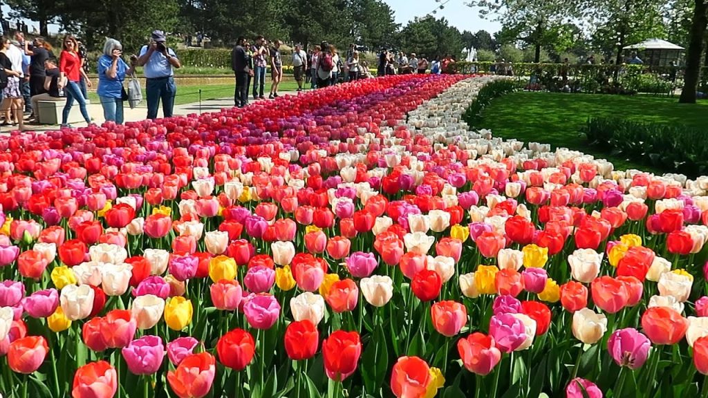 2. Keukenhof, Lisse, Netherlands