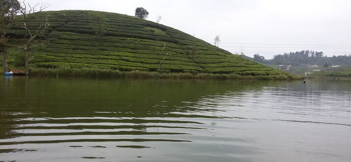 11.Vagamon, Kerala – Calm And Beautiful