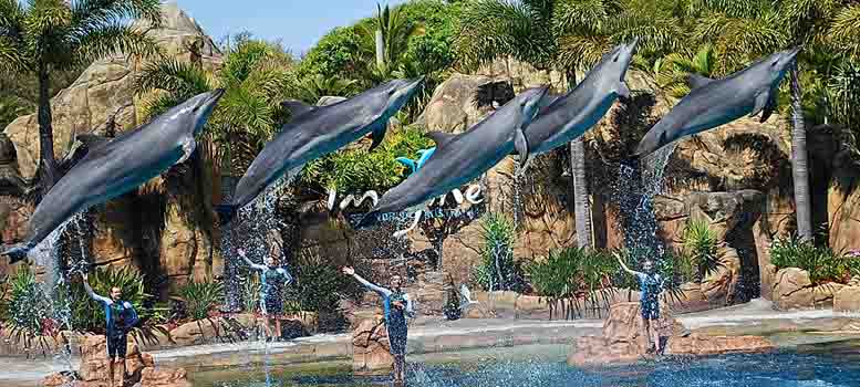 Honeymoon In Australia: 6N/7D In Sydney & Gold Coast