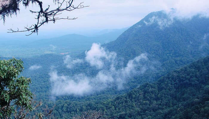 4. Agumbe: Enjoy Nirvana on this love journey