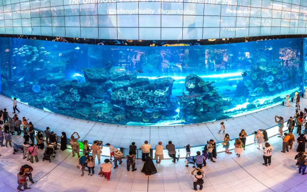Free View Of Dubai Aquarium