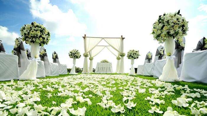 6. Clarks Exotica Jim Corbett