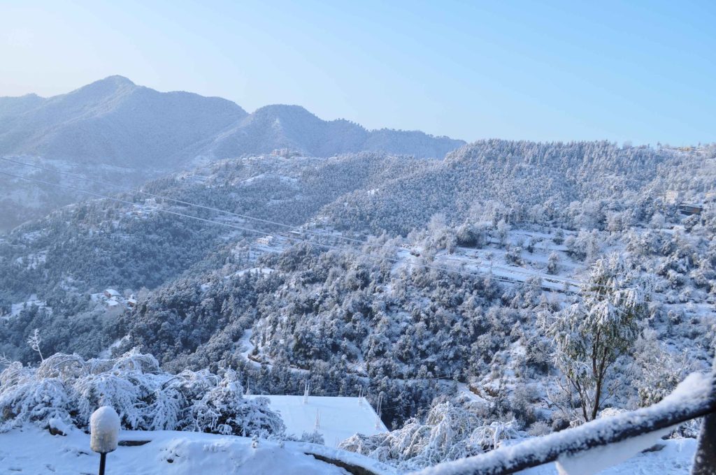 11. Shoghi: Romantic Getaway