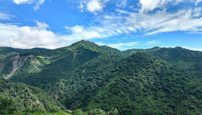 Parwanoo: Family Picnic