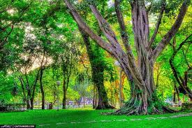 Lumphini Park: Get Close To Nature