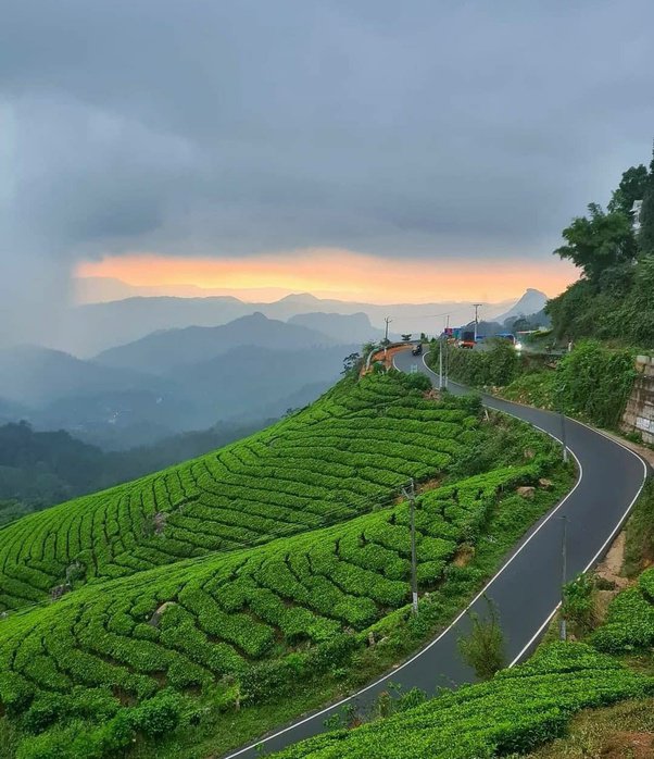 Munnar In All Its Might