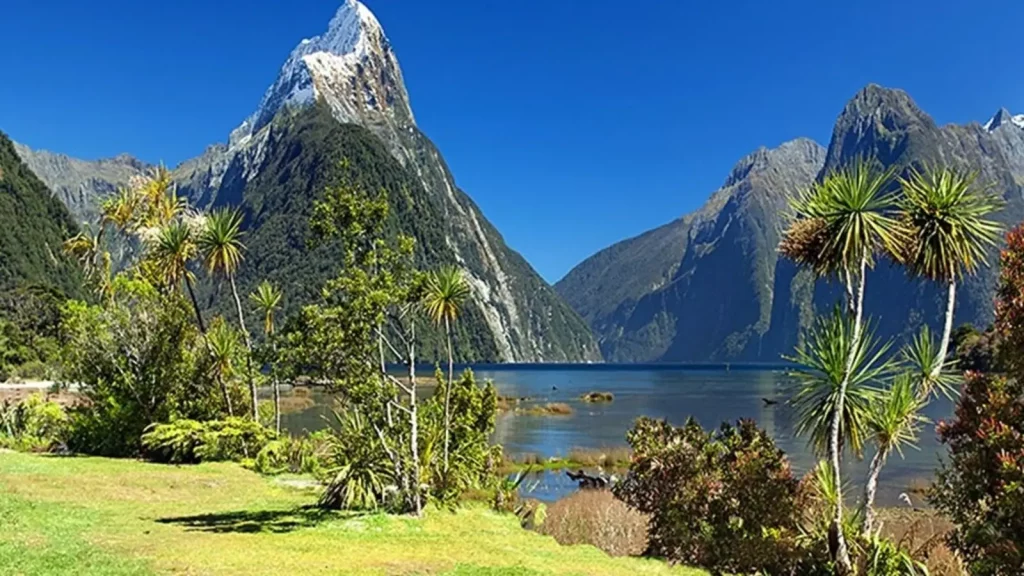 New Zealand