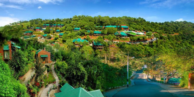 Kasauli: Peaceful Retreat