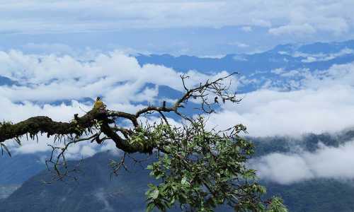 Lansdowne: Friends And Fun