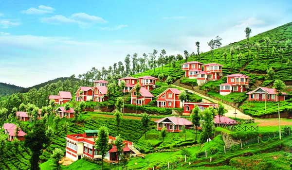 2. Ooty: Feel the romance at the top